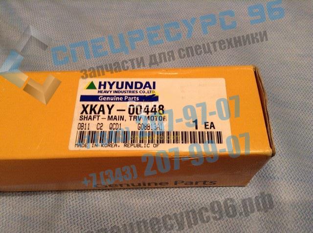 xkay-00448