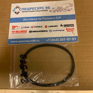 28579 Уплотнительное кольцо Carraro 28579 Уплотнительное кольцо Carraro